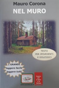 copertina Nel muro