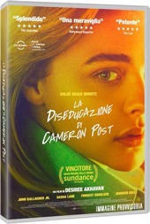 Copertina  La diseducazione di Cameron Post [DVD]