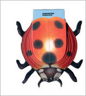 Copertina  Coccinella