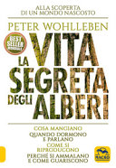 Copertina  La vita segreta degli alberi
